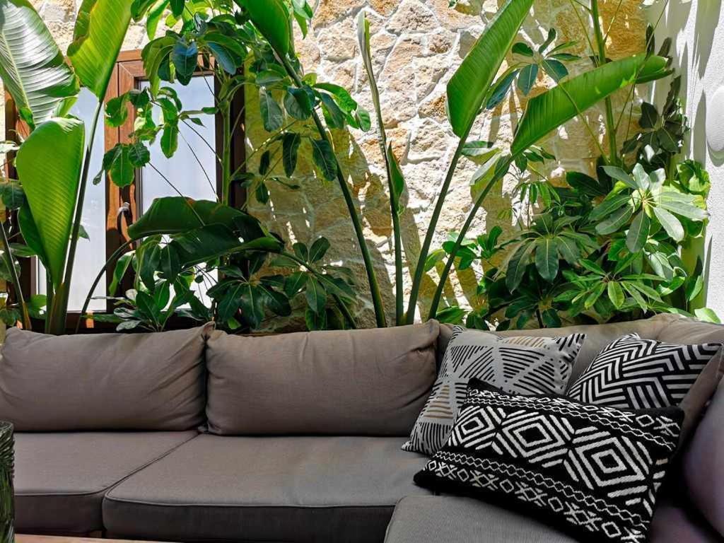 Casa Rural Albireo Rebosante De Luz Y Naturaleza Sanlúcar de Guadiana Exteriör bild